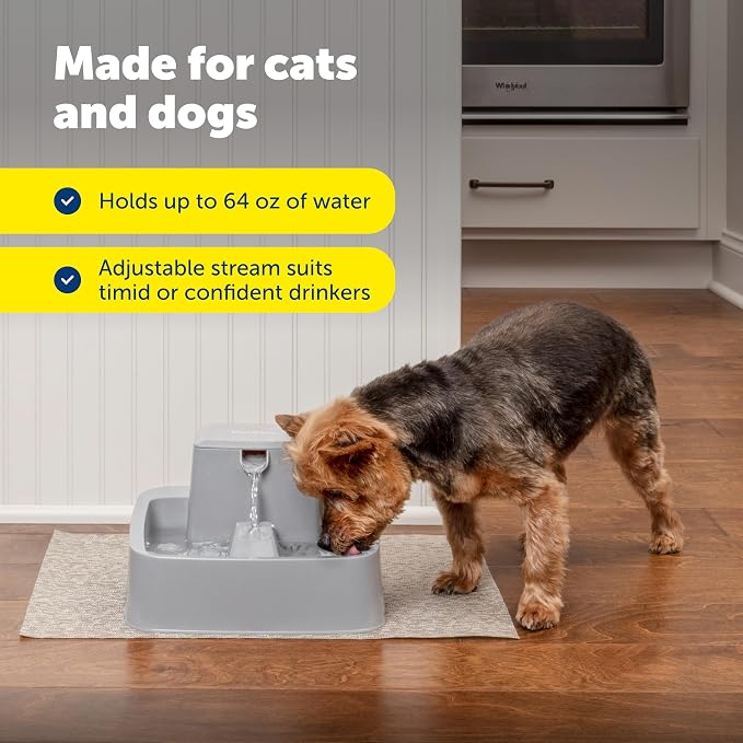 PetSafe Oasys Pet Fountain, 1/2 Gallon, Cats & Small Dogs, 4-Pack Filters | Adjustable Flow Control, Open Bowl, Whisker-Friendly Tray, Replaceable Carbon & Foam Filters Included - Image 7