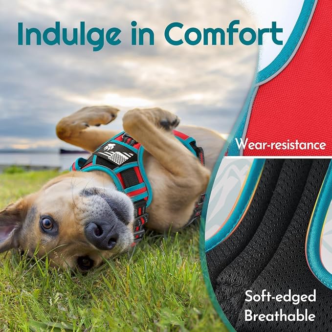Eagloo Dog Harness No Pull for Large Dogs, Easy On & Off with 3 Buckles | No Choke with Front Clip, Adjustable Fit, MOLLE System, Reflective Vest, Easy Control for Walking, Red & Teal, Large - Image 7