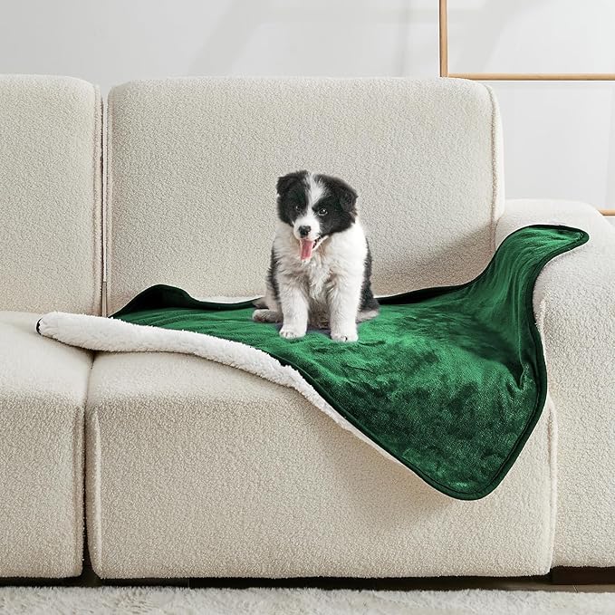 Soft Waterproof Blanket for Bed Couch Sofa, Green, 30x40 inches | Liquid Pee Proof Pet Blanket for Dog Puppy Cat, Reversible Sherpa Fleece Blanket for Couch Cover, Furniture Protector by Yaning