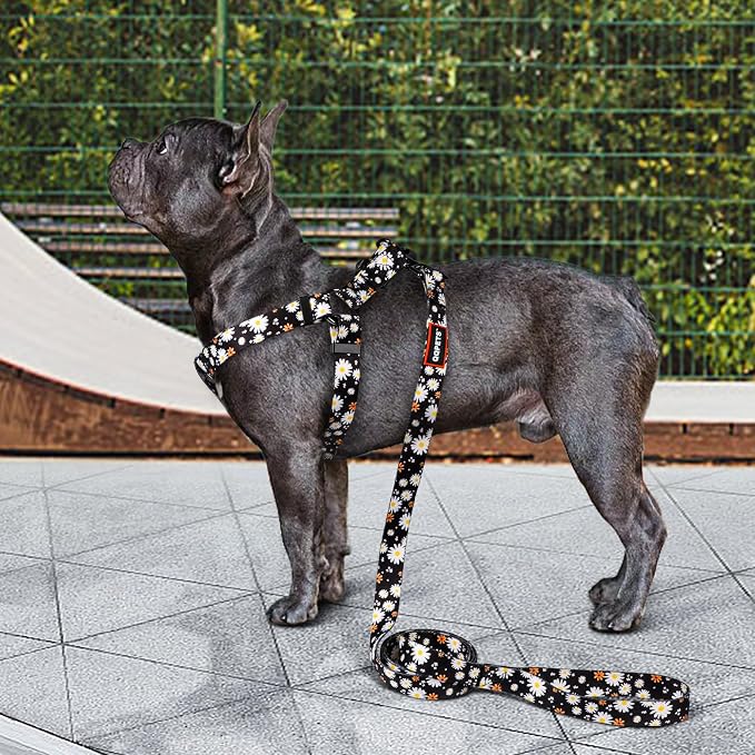 Dog Harness Leash Set Adjustable Heavy Duty No Pull Halter Harnesses for Small Medium Large Breed Dogs Back Clip Anti-Twist Perfect for Walking (M(19"-26" Chest Girth), White Daisy) - Image 2