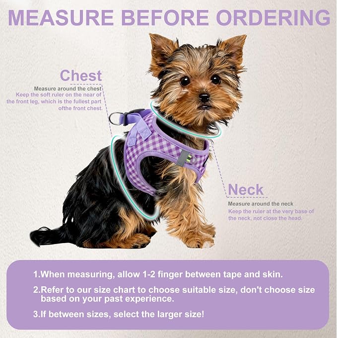 AIITLE Step in Small Dog Harness and Leash Set, Puppy Pet Vest, Purple S | Breathable Mesh, Adjustable Fit, No-Pull Reflective Design, Escape Proof, for Small-Medium Dogs, Outdoor Walking, Running - Image 3