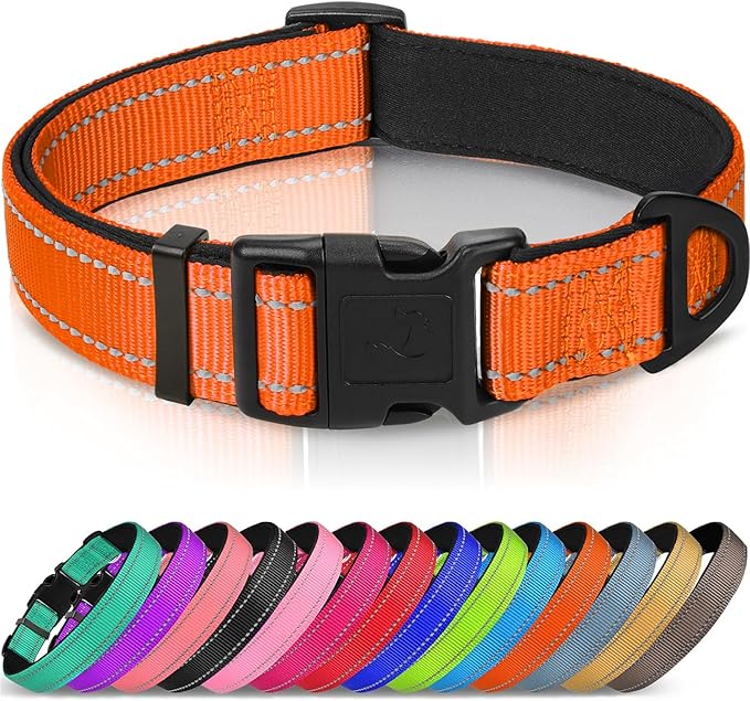 Joytale Reflective Dog Collar, Adjustable Neoprene Padded, Orange L | Breathable Nylon for Large Dogs, No Chafing on Walks and Outdoor Hikes, Tear-Resistant Webbing, Metal D-Ring, Night Safety by Joytale