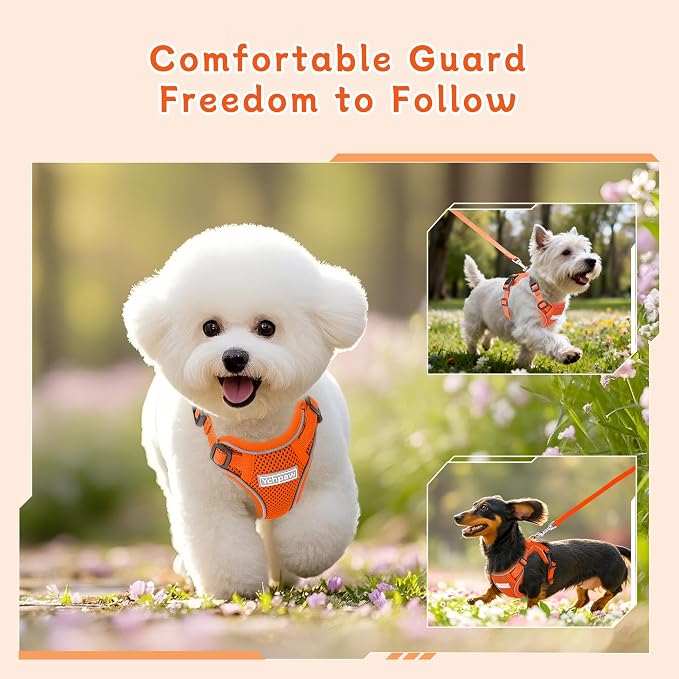 Small Dog Harness and Leash Set, Adjustable Small Sized Pet Vest | Reflective Soft Breathable Mesh, 3 Buckles, Adjustable Neck and Chest, Easy on and Comfortable Secure Walking, Orange, S - Image 7