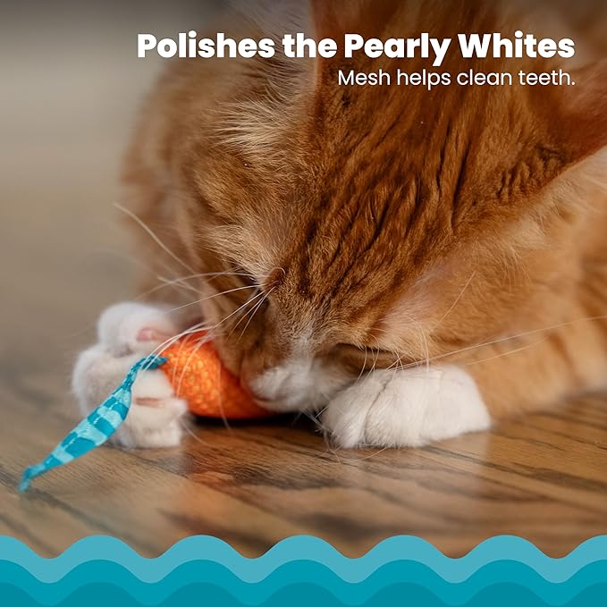 Catstages Catnip Chew Mice 2 Pack– Interactive Dental Cat Chew Toy that Helps Clean Teeth, Mouse, Multicolored - Image 3