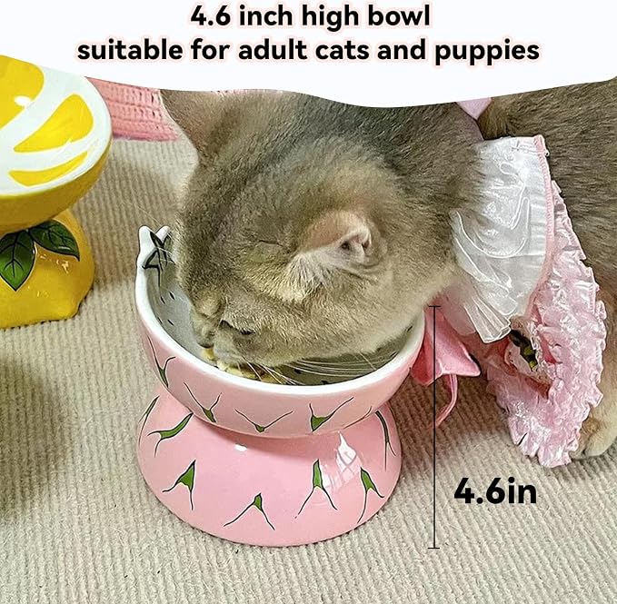 2PCS Ceramic Elevated Cat Bowls Raised Cat Food and Water Bowl Dishes Set | 5.2in Tilted Anti Vomiting Slow Feeder Cat Dishes, Whisker Friendly for Indoor kitten, Lemons & Pitaya Design - Image 4