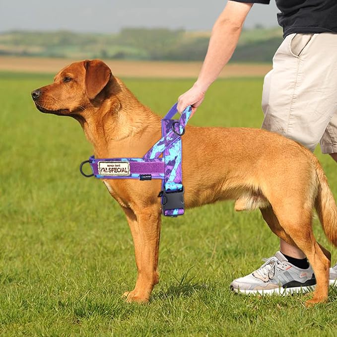 Annchwool No Pull Dog Harness with Soft Padded Handle,Escape Proof and Quick Fit to Adjust Dog Harness,Easy for Training Walking for Small & Medium and Large Dogs(Camo Purple,XL) - Image 5