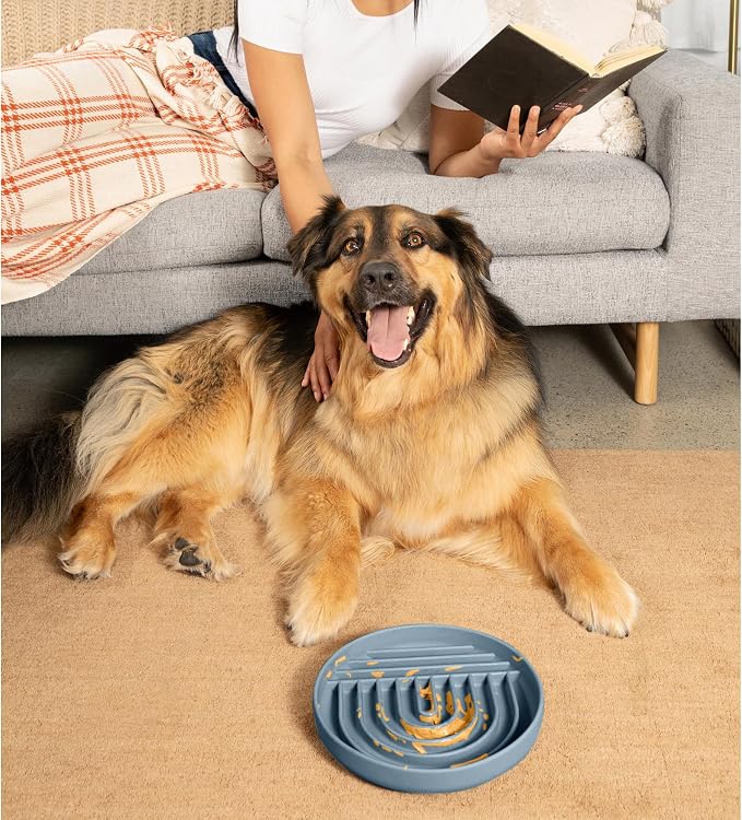 Should We Go? Slow Feeder Dog Bowls - Large Size Silicone Slow Eating Dog Bowl for Puppies & Dogs with Suction Cup -Dishwasher-Safe, Lick Mat Design, Reduces Gulping,for All Breeds,9.5”x1.5”- Ocean - Image 7