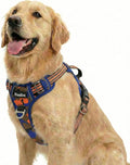 Dog Harness No Pull, Adjustable Pet Vest Harness, Super Soft Material with Vertical Handle Easy Control, Reflective Night Walking, 2 Leash Clips for Large Dogs, Camo Orange, L by MyFUNFOX