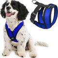 Gooby Comfort X Head-in Dog Harness, Choke-Free, Blue, Large | Patented choke-free X-frame; Secure head-in fit; Lightweight breathable mesh; Back metal D-ring; Machine washable by Gooby