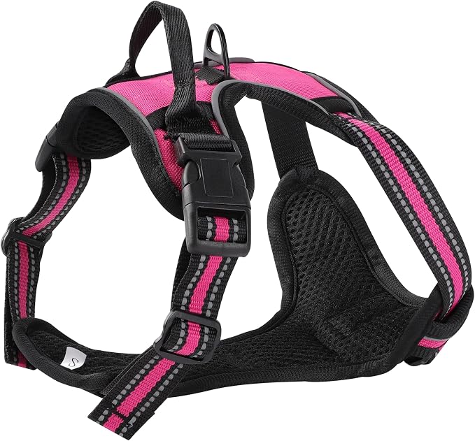 Hot Pink No-Pull Dog Harness with 2 Leash Clips，Soft Padded Vest for Small Dog, Adjustable Reflective Dog Vest Easy to Put on and Take Off,(Neck: 13"~17", Chest: 17"~21",Hot Pink Small) - Image 3