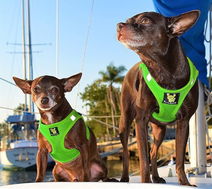 EcoBark Step in Dog Harness, Reflective & Adjustable Halter, Green, XL | Eco Friendly Dog Harnesses for Small & Medium Breed Dogs, Chest Body Vest, Soft Luxurious Mesh, Escape Proof & No Choke - Image 5
