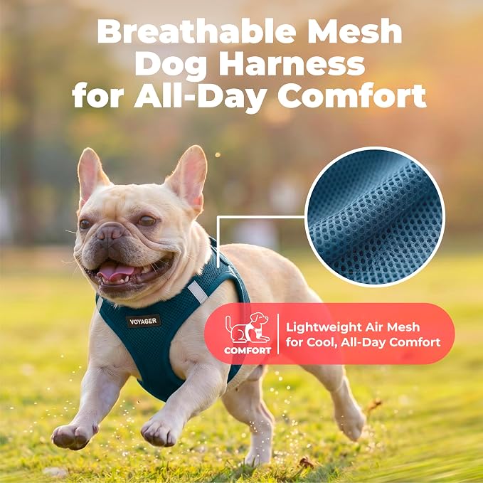 Voyager Step-in Air Dog Vest Harness - Blue, Large | 18- 20.5" in Chest, Reflective Bands, All Weather Breathable Air Mesh, Cats Compatible, Lightweight, Fast Drying - Image 5