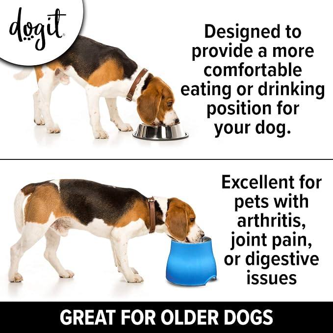 Dogit Elevated Dog Bowl, Stainless Steel Dog Food and Water Bowl for Small Dogs, Blue, 73743 - Image 3