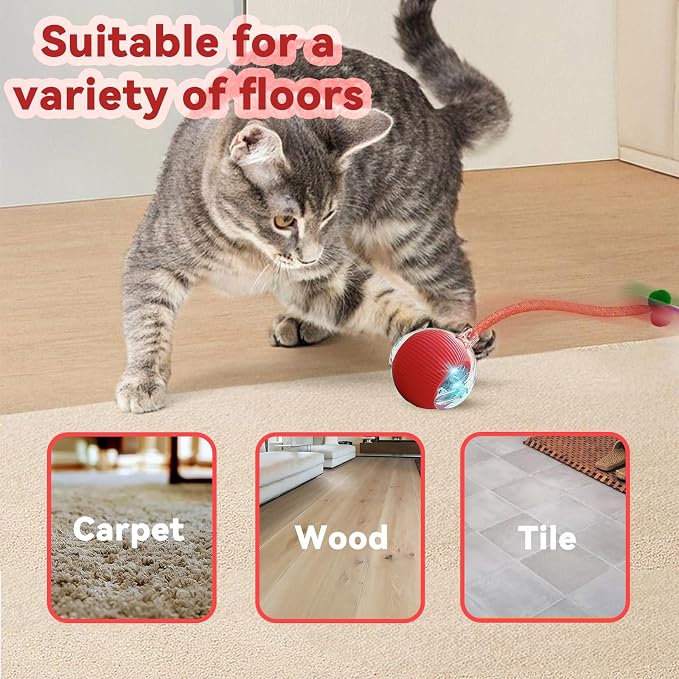 Speedy 2.0 Tail Interactive Cat Toys for Indoor Cats, Automatic Cat Toy with Elastic Mesh Tail, Electric Rolling Ball on Carpet, Chirping and Motion Activate Cat(Grey) - Image 7