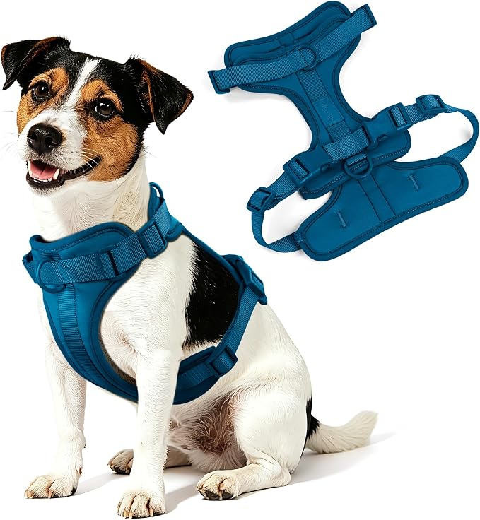 Wisedog Lightweight No Pull Dog Harness, Navy, Small | Air Mesh, 3 Clips, Adjustable, No Choke Design, Ideal for Walking Training - Image 8