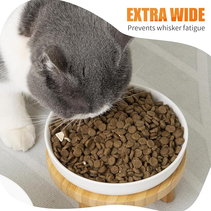 Lusifaco Shallow Wide Elevated Cat Bowls Whisker Fatigue(Pink,Set of 1) | 5.9 Inch 2 Height Raised Ceramic Cat Dishes with Bamboo Stand, Flat Pet Water Food Plates Feeding Station for Indoor Kitten - Image 4