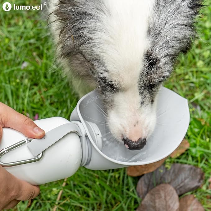 LumoLeaf Insulated Dog Water Bottle 27 oz Stainless Steel - Keep Water Cool or Warm, Portable Pet Water Bowl for Travel, Wide Mouth for Easy Ice Filling & Cleaning (Grey, 27 oz) - Image 7