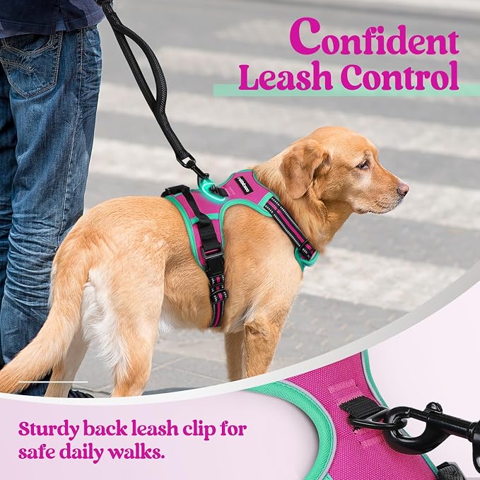 rabbitgoo Dog Harness, No Pull Medium Sized with 2 Leash Clips, Pet Vest | No Choke with Handle, Adjustable Soft Padded, Reflective, Easy Control for Walking, Hot Pink & Turquoise, Medium - Image 6