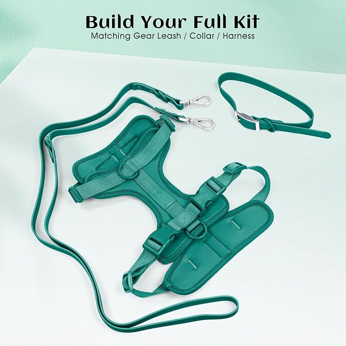 Wisedog Lightweight No Pull Dog Harness, Emerald Green, X-Small | Air Mesh, 3 Clips, Adjustable, No Choke Design, Ideal for Walking Training - Image 7