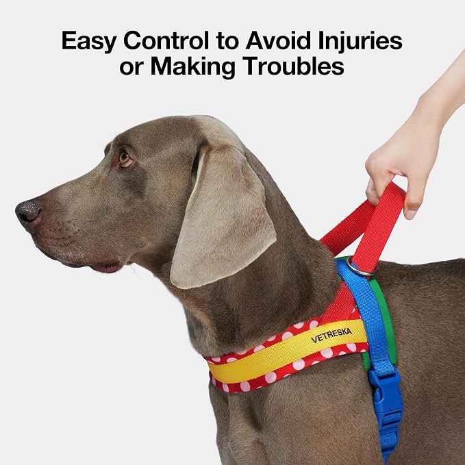 VETRESKA Dog Harness for Medium Large Dogs, Easy Walk Harness Set (Red, M) | No Pull Dog Vest Harness for Walking and Training, Adjustable, Take Control & Anti-Twist Pet Lead Combo - Image 5