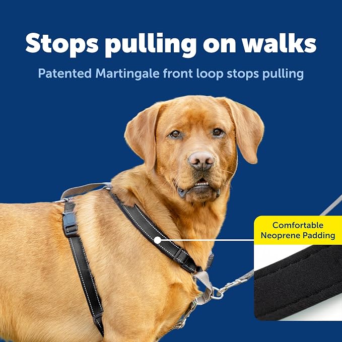 PetSafe 3 in 1 No-Pull Dog Harness - Walk, Train or Travel - Helps Prevent Pets from Pulling on Walks - Seatbelt Loop Doubles as Quick Access Handle - Reflective Accents - Large, Black | Rests on Chest Not Throat to Reduce Pulling, 5 Adjustment Points,... - Image 3