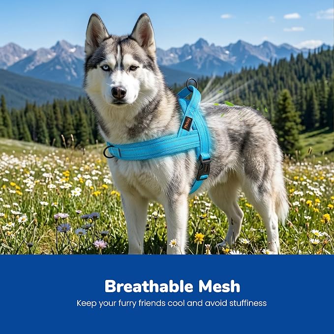 No Pull Dog Harness for Medium Dogs, Breathable Mesh Padded, Blue, M | Quick Fit, Easy On and Off, Lightweight, Reflective Vest Harness for Night Safty, Easy for Walking and Training, Chest 21-26" - Image 2