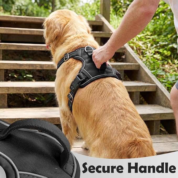 Dog Harness for X-Large Dog No Pull, Adjustable Pet Vest Harness, Vertical Handle Easy Control with 2 Leash Clips, Soft Material, Reflective Safe Night Walking for X-Large Size, Black, XL - Image 4