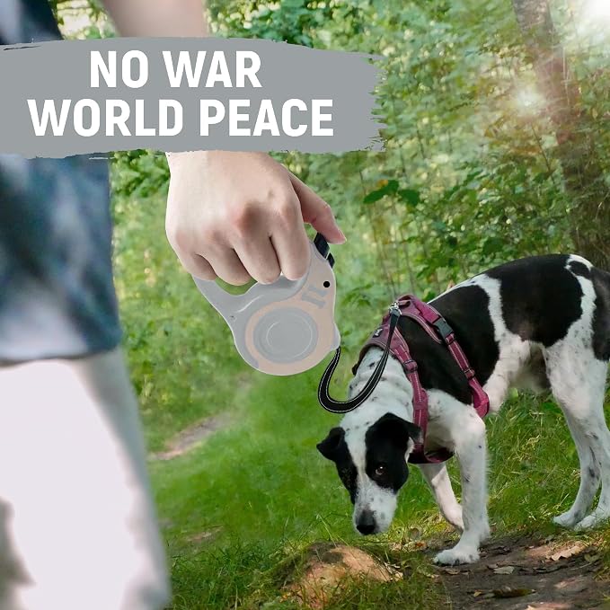 Retractable Dog Leash Automatic Telescopic Tractor Dog Tape | Pet Tape 10/16 FT Durable and Convenient, with Non-Slip Handle, Suitable for Small and Medium-Sized Dogs - Image 6