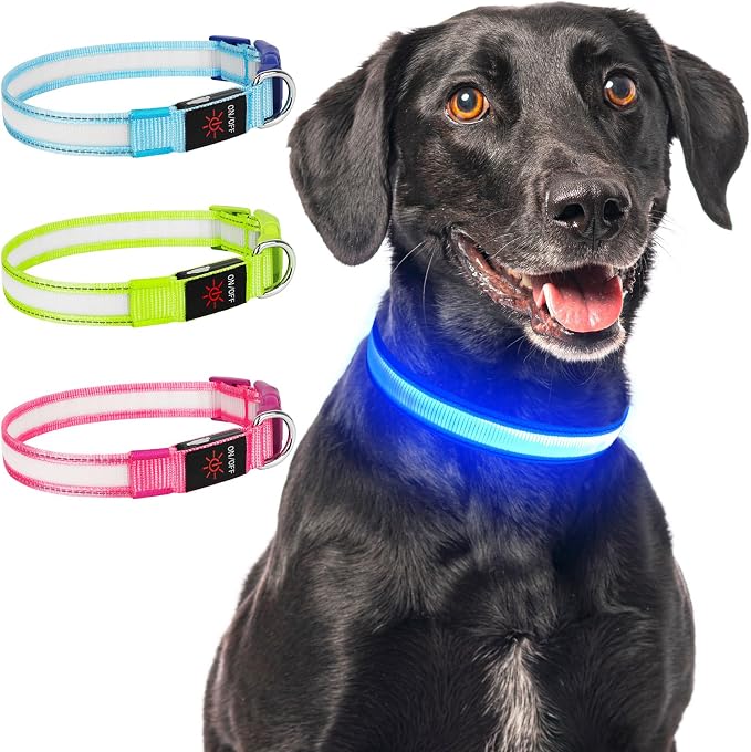 LED Light Up Dog Collar for Night Safety Walks, M | USB rechargeable, waterproof & pet-safe, 3 lighting modes, long-lasting glow, adjustable S/M/L, soft comfy daily walk fit - Image 8