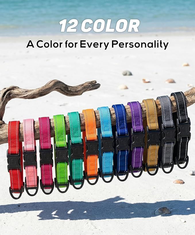 TagME Medium Dog Collar, Reflective Nylon Collar, Royal Blue, 1.0" Width | Soft Nylon Dog Collar With Reflective Stitching for Night Walks, Adjustable Fit, Quick-Release Buckle for Easy On & Off - Image 6