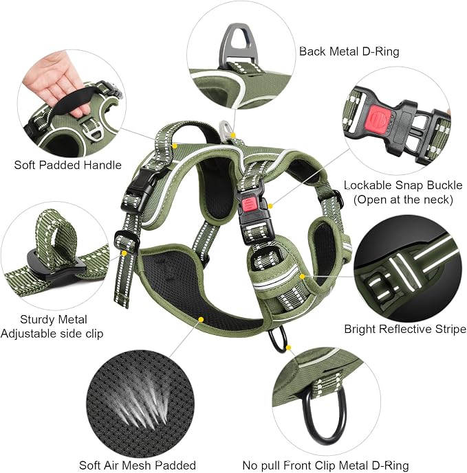 Timos Dog Harness Small Sized, Neck Quick Release with 3 Buckles, Green, S | Easy On & Off, No Pull No Choke, Adjustable Reflective Soft Padded, Front & Back 2 Clips and Handle for Walking Training - Image 4