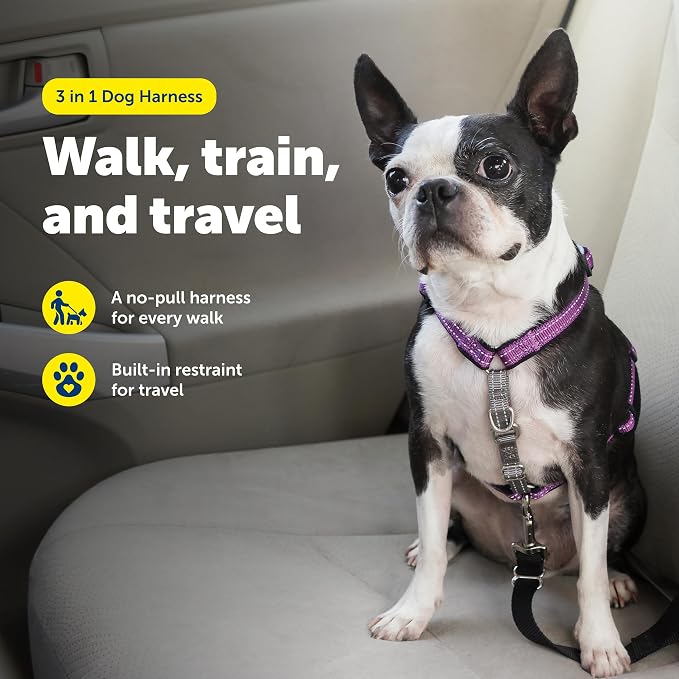 PetSafe 3 in 1 Dog Harness - No Pull Solution for Dogs - Reflective Dog Harness - Front D-Ring Clip Helps Stop Pulling - Comfortable Padded Straps - Top Handle Enhances Control - Plum - Extra Small - Image 2