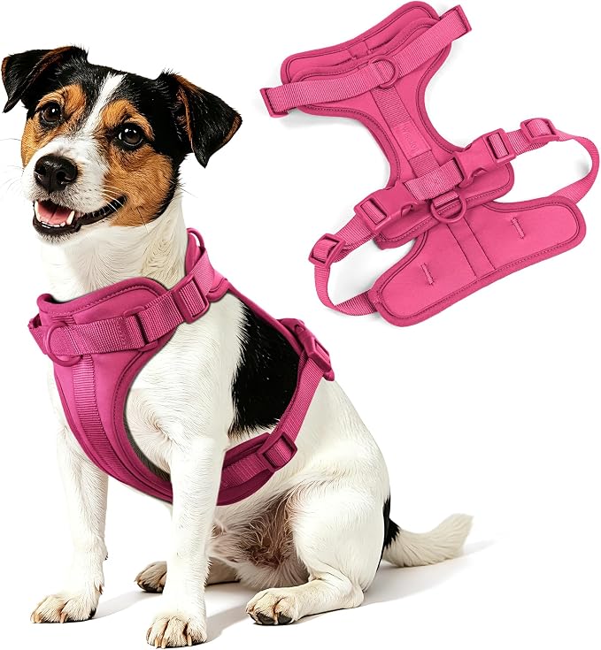 Wisedog No Pull Dog Harness, Peacock Pink, Small | Lightweight, Adjustable Breathable Pet Vest, Soft & Comfortable Cushion, Small Medium Large Dogs - Image 8