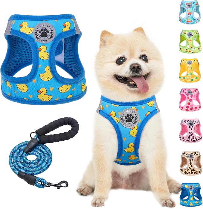 BEAUTYZOO Small Dog Harness and Leash Set, No Pull Puppy Pet Vest- Duck, S | Step-in Easy On/Off, All Season Breathable Mesh,Escape-Proof Hook & Loop,Lightweight Reflective,No Choke,Easy Walking Control by BEAUTYZOO
