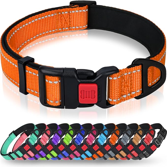 Taglory Reflective Dog Collar for Puppies, Gentle and Safe for Night Walks | Night-Walk Visibility, Soft Neck Cushioning, Adjustable 8-12 in, Locking Buckle, D-Ring for Leash and ID Tags by Taglory