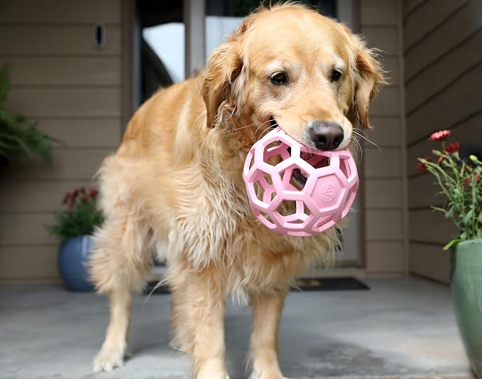 JW Pet HOL-ee Roller Dog Puzzle Ball, Large 5.5in, Natural Rubber, Pink | Puzzle Ball Design Dog Toy for Interactive Play and Chasing Fun - Image 3