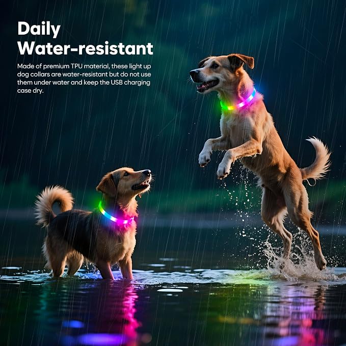 HIGO RGB LED Dog Collar Light - USB Rechargeable Light Up Dog Collars, Safety LED Dog Necklace for Your Dogs Walking at Night (Multi-Color) - Image 4