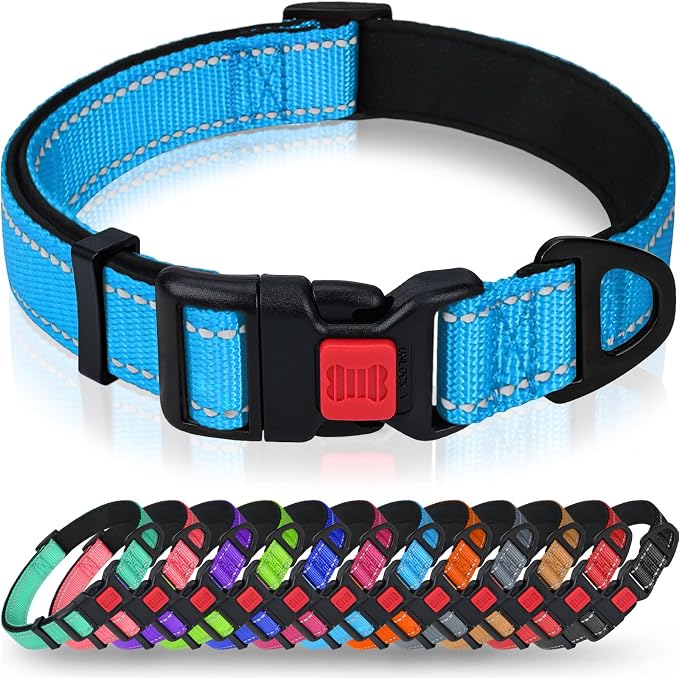 Taglory Reflective Dog Collar for Medium Dogs, Soft and Safe for Daily Walk | Soft Neck Cushioning, Adjustable 14-20 in, Sturdy Webbing Withstands Strong Pullers, Zinc Alloy D-Ring for Leash and ID Tags by Taglory