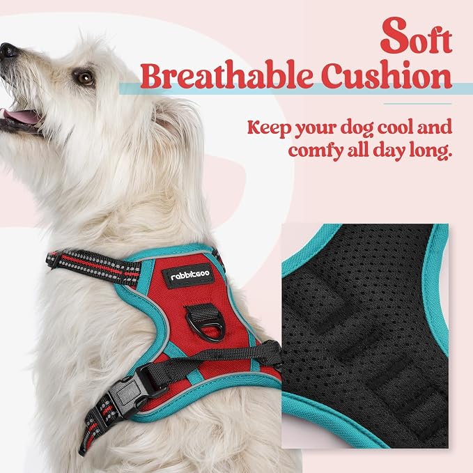 rabbitgoo Dog Harness, No Pull for Small Dogs with 2 Leash Clips, Pet Vest | No Choke with Handle, Adjustable Soft Padded, Reflective, Easy Control for Walking, Red & Teal, X-Small - Image 2