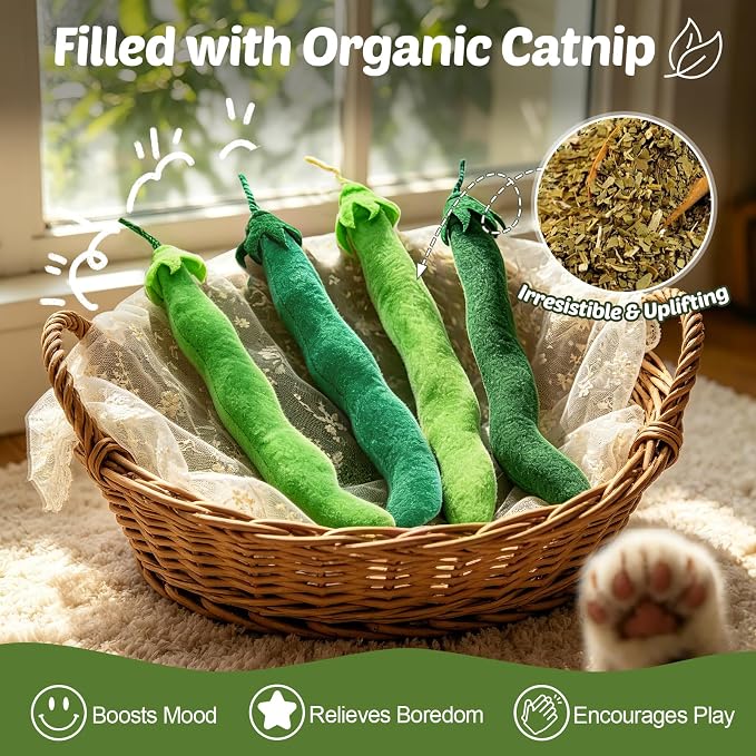 CiyvoLyeen Plush Green Bean Catnip Toys for Indoor Cats 4 Pack | Cat Chew Kicker Toys, Boredom Relief, Interactive Play, Soft Durable Plush with Catnip, Funny Gift for Cat Lovers & Kitten - Image 4