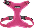 Voyager Step-in Lock Dog Harness - Fuchsia, Medium | 17-21" in Chest, Adjustable, Breathable Air Mesh, Lightweight for Daily Walks, Strong Clips, Heavy Duty D-Ring by BestPetSuppliesLLC