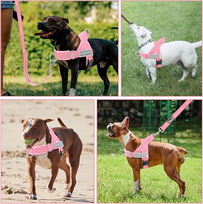 Lukovee No Pull Dog Harness and Leash Set, Soft Padded Vest with Front Clip | Adjustable, No Choke, Reflective,Durable Easy Control Pet Vest Harness for Safe Walking for Medium Large Dogs (Pink, L) - Image 7