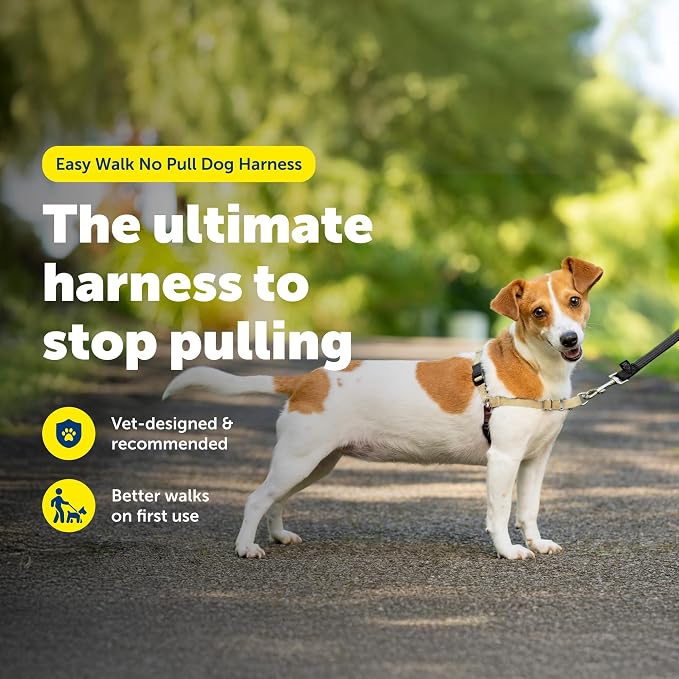 PetSafe Easy Walk Harness, No Pull Dog Harness, Fawn, Small | Patented Martingale Loop Gives Gradual Shoulder Pressure to Stop Pulling, Front-Chest Leash Clip Prevents Gagging - Image 2