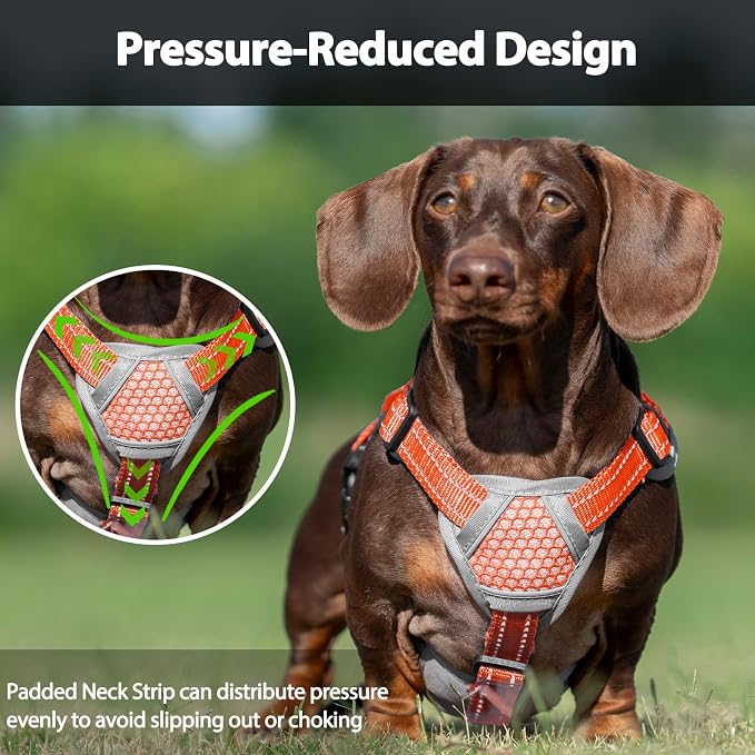 Escape Proof Dog Harness, Dachshund Harness, Reflective Dog Harness with Handle, Durable,Adjustable Vest for Small Medium Large Dogs Walking, Training, and Running Gear (Orange,L) - Image 5