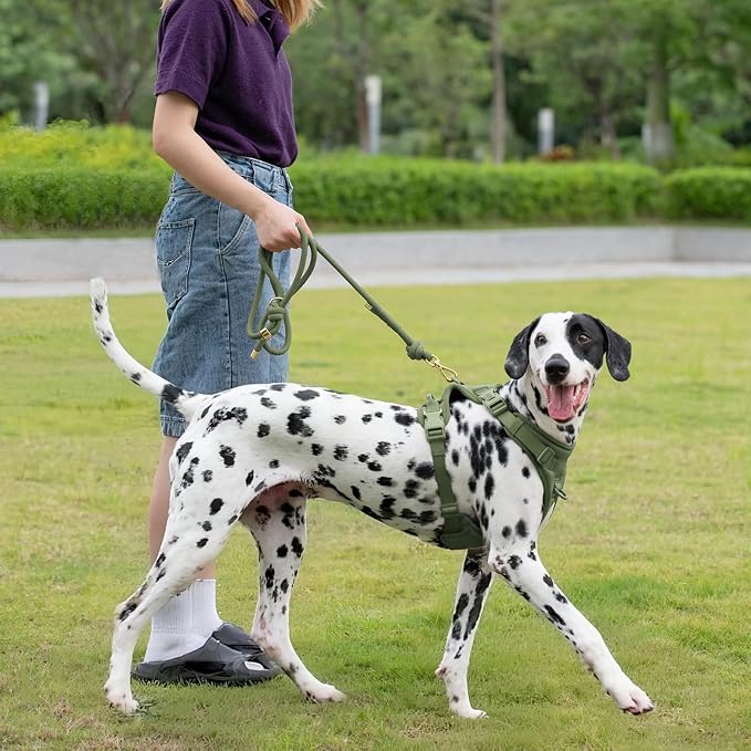 5FT Dog Leash Puppy Cat Rope Lead for Small Medium Large Dogs | Misty Green,with Anti-tangle Swivel Clip,Non-slip Grip Handle,Ideal for Daily Walks and Training - Image 8