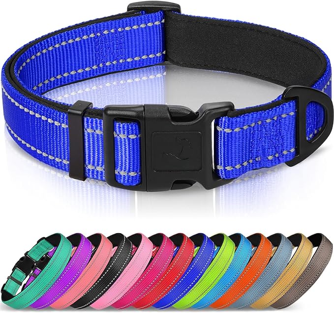 Joytale Reflective Dog Collar, Adjustable Neoprene Padded, Navy Blue S | Breathable Nylon for Small Dogs, No Chafing on Daily Walks and Training, Gentle on Neck, Secure Metal D-Ring, Night Safety by Joytale