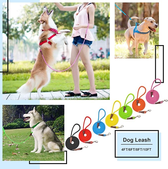 MayPaw 4/6/8/10FT Rope Dog Leash, 6 Classic Solid Colors Strong Nylon Leash | 1/2-Inch Thick Training Leash for Medium Larges Reinforced with Leather Tailor Connection Heavy Duty Silver Clasp (blue 10ft) - Image 8