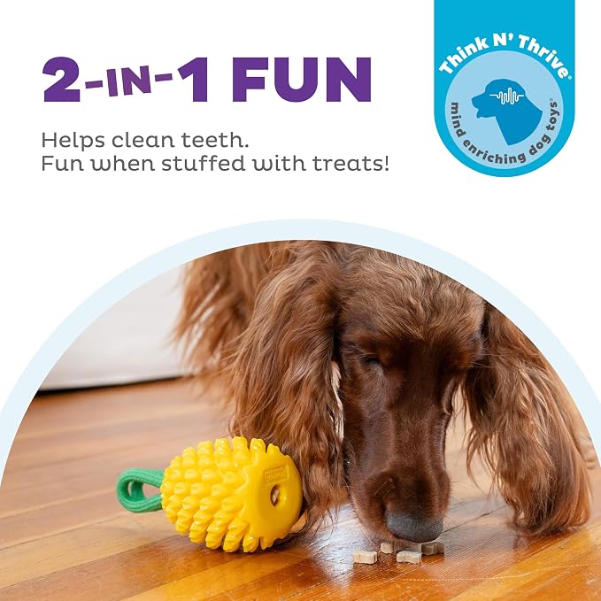Outward Hound Dental Pineapple Dog Toy & Treat Stuffer, 6.8″ x 3.3″ Pineapple-Scent Interactive Chew for Dogs, Promote Healthy Teeth, Gums & Mental Enrichment, Reduce Boredom & Support Dental Health - Image 2