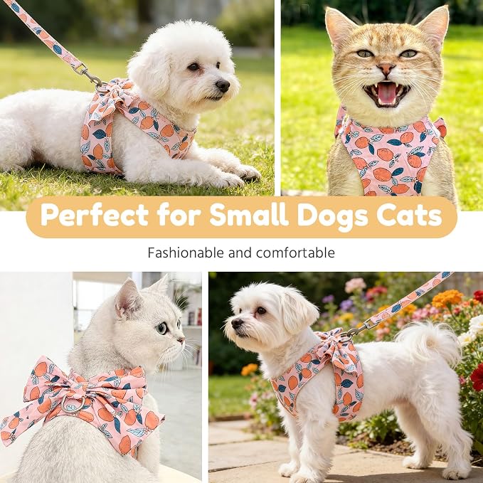 BAEJMJK Dog Harness and Leash Set with Bow Knot No Pull Pet Floral Harness with D-Ring Soft Mesh Dog Harness Vest Set Escape Proof Princess Puppy Harness for Small Girl Dogs Cats（Orange L） - Image 8