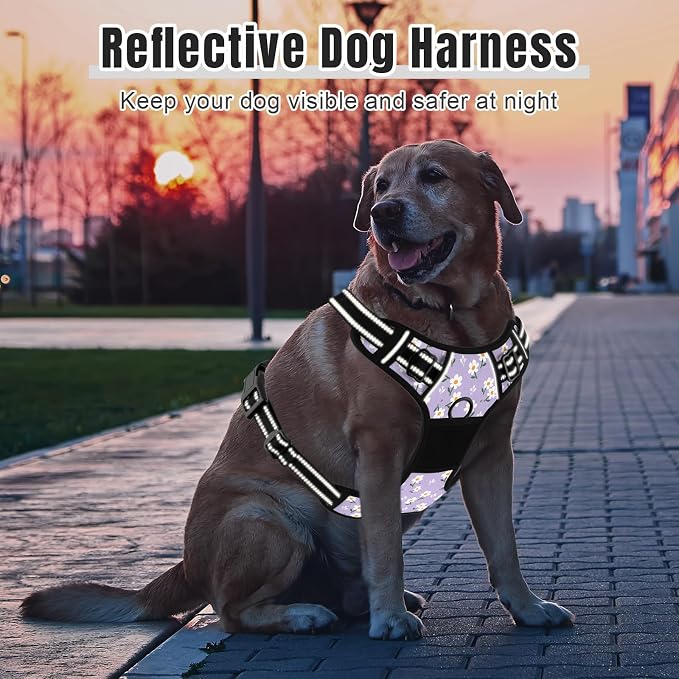 Rnivvi No Pull Dog Harness, Cute Flower Reflective X-Small Sized Puppy Harness, Adjustable Soft Padded Vest for Small Dogs, Cats, Heavy Duty Pet Vest with Easy Control Handle for Walking, Purple White - Image 6